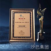 2025国际影响力品牌奖
